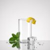 Synlora Elite Borosilicate Glass Tumblers Set of 6