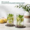 Synlora Elite Borosilicate Glass Tumblers Set of 6