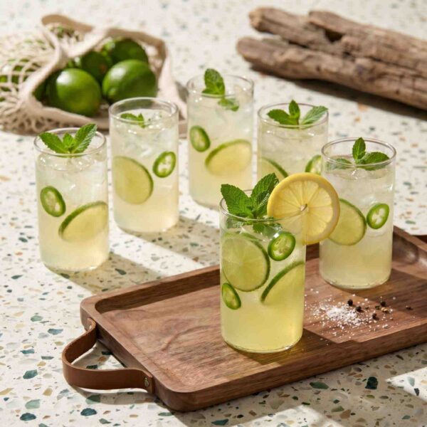 Synlora Elite Borosilicate Glass Tumblers Set of 6