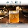 Synlora Barrel Borosilicate Glass Tumblers